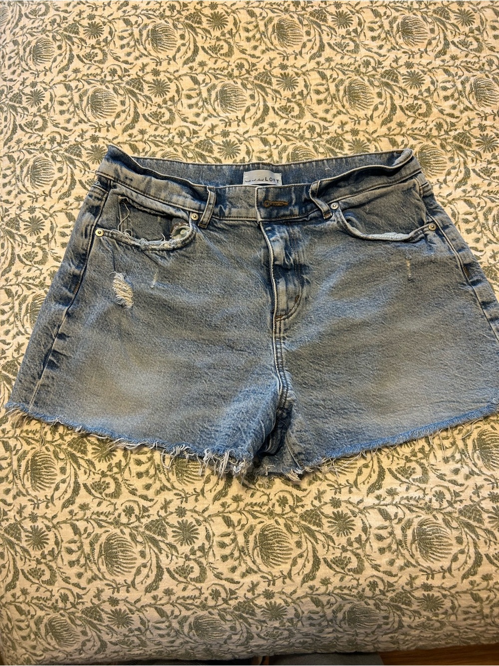 Loft Light Blue Denim Shorts - Women size 6